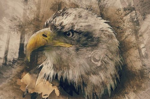 La fábula del águila. renovarse o morir