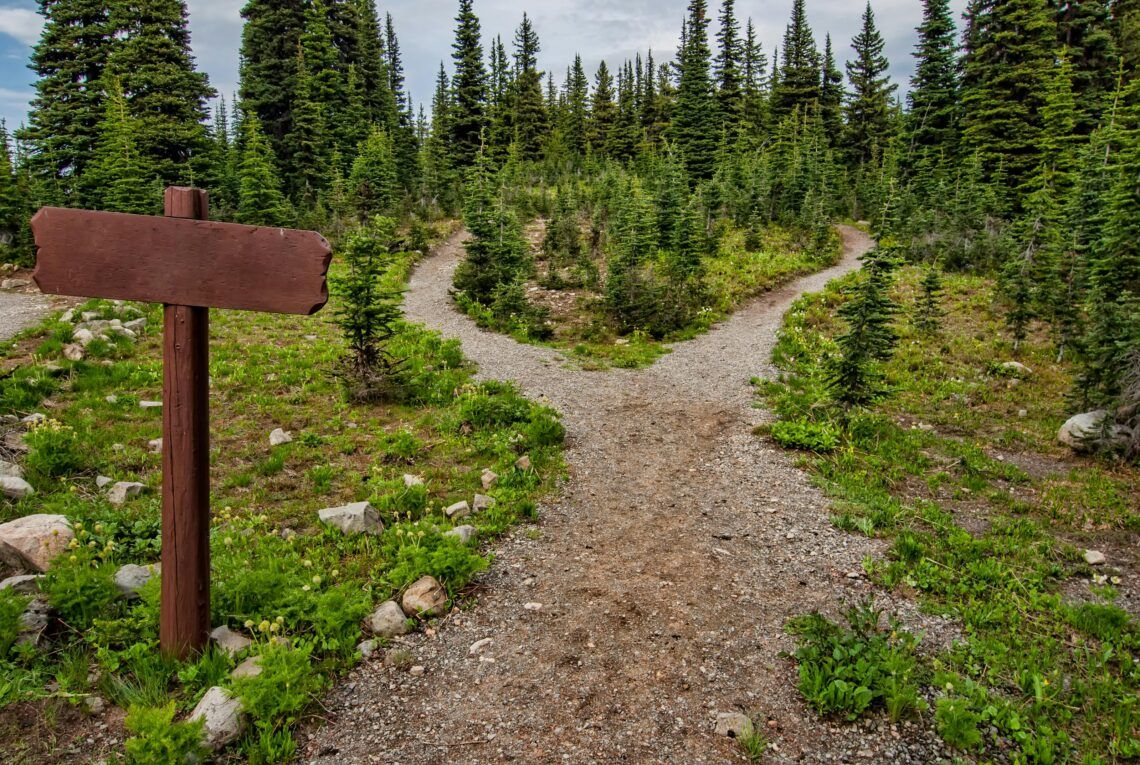 Caminos que se separan y se bifurcan en el campo