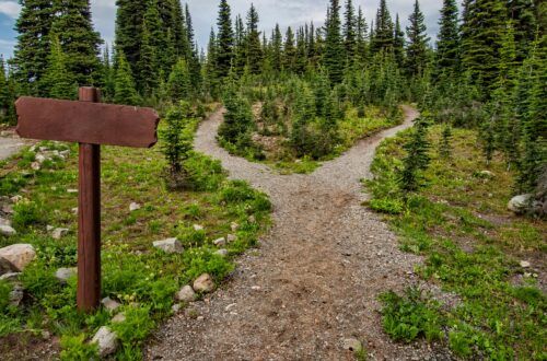 Caminos que se separan y se bifurcan en el campo